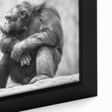 Close-up of vibrant monkey and ape-themed wall art featuring a chimpanzee design on framed canvas, showcasing rich colors and intricate details ideal for adding a playful touch to home decor.