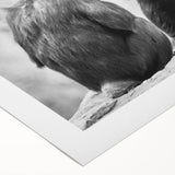 Colorful rolled canvas wall art featuring a playful chimpanzee design, ideal for home decor or children's rooms, presented in a protective cardboard tube.