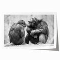 Colorful wall art print featuring a playful monkey and chimpanzee design, showcasing vibrant colors and intricate details, perfect for animal lovers' home decor.