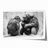 Colorful wall art print featuring a playful monkey and chimpanzee design, showcasing vibrant colors and intricate details, perfect for animal lovers' home decor.