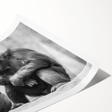 Vibrant wall art print featuring a playful monkey and chimpanzee design, showcasing rich colors and intricate details, perfect for animal-themed decor.