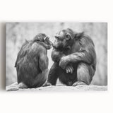 Charming stretched canvas wall art featuring a playful design of a monkey and ape with vibrant colors and whimsical details, perfect for children's rooms or animal-themed decor.