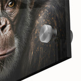 Close-up view of a vibrant wall art piece featuring a monkey and ape design, showcasing intricate details and rich colors on acrylic glass, perfect for animal lovers.