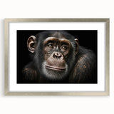 Framed wall art featuring a detailed design of a chimpanzee and monkey, showcasing vibrant colors and textures, perfect for animal lovers and modern decor.