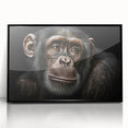 Framed wall art featuring a colorful monkey and ape chimpanzee design, presented in a sleek black frame, ideal for animal lovers and modern decor enthusiasts.