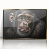 Framed wall art showcasing a vibrant monkey and chimpanzee design in a gold-acrylic frame, perfect for adding a playful touch to modern decor.