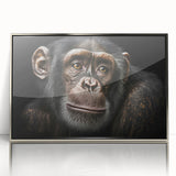 Framed wall art featuring a playful monkey and chimpanzee design in a modern silver frame, showcasing vibrant colors and intricate details, perfect for animal lovers.