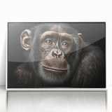 Framed wall art showcasing a vibrant chimpanzee design with a white border, perfect for animal lovers and modern decor enthusiasts, adding a playful touch to any room.