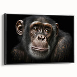 Framed canvas wall art showcasing a vibrant monkey and ape design, featuring a colorful chimpanzee illustration against a black background, perfect for modern decor.