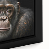 Close-up of a framed canvas wall art depicting a vibrant monkey and chimpanzee design, showcasing intricate details and rich colors, perfect for animal lovers.