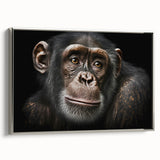 Framed wall art featuring a sleek silver design showcasing a monkey and ape chimpanzee illustration, ideal for adding a modern touch to any space.