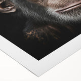 Charming rolled canvas wall art featuring a playful monkey and chimpanzee design, showcasing vibrant colors and detailed textures, perfect for animal lovers' decor.