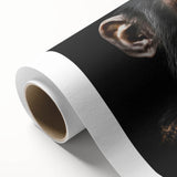 Rolled canvas wall art showcasing a vibrant monkey and chimpanzee design, featuring intricate details and rich colors, perfect for animal lovers and modern decor.