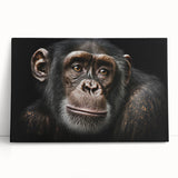 Colorful monkey and ape wall art featuring a chimpanzee design on stretched canvas, showcasing vibrant hues and intricate details, ideal for playful decor.