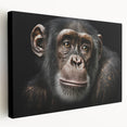Stretched canvas wall art showcasing a playful chimpanzee design, perfect for adding a vibrant touch to home decor in a child's room or playful space.