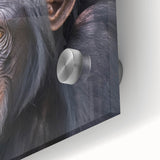Close-up of a vibrant acrylic glass wall art piece showcasing a playful monkey and ape chimpanzee design, perfect for adding a whimsical touch to modern decor.