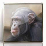Framed wall art featuring a vibrant chimpanzee design in gold-accented acrylic, showcasing intricate details and a modern aesthetic ideal for animal lovers.
