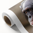 Colorful rolled canvas showcasing a whimsical monkey and ape chimpanzee design, perfect for adding a playful touch to home decor, delivered in a protective cardboard tube.