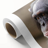Colorful rolled canvas showcasing a whimsical monkey and ape chimpanzee design, perfect for adding a playful touch to home decor, delivered in a protective cardboard tube.