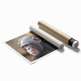 Colorful wall art print featuring a stylized monkey and chimpanzee design, showcasing intricate details and vibrant colors, ideal for animal lovers' home decor.