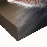 Close-up of a vibrant stretched canvas wall art featuring a playful monkey and chimpanzee design, showcasing intricate details and vivid colors, perfect for animal lovers' decor.