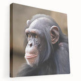 Stretched canvas wall art featuring a vibrant chimpanzee design with colorful details, ideal for animal lovers and modern home decor. Perfect for adding a playful touch to any space.