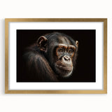 Framed wall art collection featuring a vibrant monkey and ape chimpanzee design with a gold mat, ideal for animal lovers and vibrant decor.