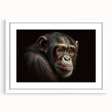 Framed wall art collection showcasing a vibrant monkey and ape chimpanzee design. The white mat enhances the colorful illustration, perfect for animal lovers.