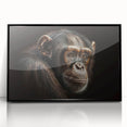 Framed wall art featuring a vibrant monkey and chimpanzee design in a black acrylic frame, showcasing intricate details and vivid colors, perfect for animal lovers and modern decor.