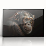 Framed wall art featuring a vibrant monkey and chimpanzee design in a black acrylic frame, showcasing intricate details and vivid colors, perfect for animal lovers and modern decor.
