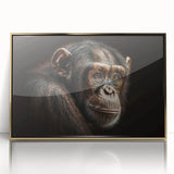 Framed wall art featuring a vibrant monkey and ape chimpanzee design in gold acrylic, showcasing intricate details and a modern aesthetic ideal for animal lovers.