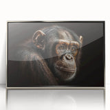 Framed acrylic wall art featuring a vibrant monkey and ape design, showcasing a chimpanzee in a colorful jungle setting, perfect for modern decor.