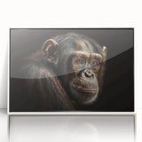 Framed wall art featuring a playful monkey and ape chimpanzee design, displayed in a sleek white frame, perfect for adding a whimsical touch to any room.
