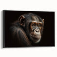 Framed canvas wall art showcasing a vibrant monkey and ape chimpanzee design in a sleek black frame, perfect for animal lovers and modern home decor enthusiasts.