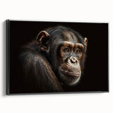 Framed canvas wall art showcasing a vibrant monkey and ape chimpanzee design in a sleek black frame, perfect for animal lovers and modern home decor enthusiasts.