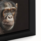 Close-up of a framed canvas featuring a vibrant monkey and ape design, showcasing intricate details and bold colors, perfect for animal lovers and home decor enthusiasts.