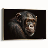 Framed wall art collection displaying a stylish design of a monkey, ape, and chimpanzee in vibrant colors. The piece features a gold frame, adding elegance to any decor.