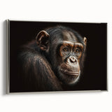 Framed wall art collection featuring a stylish design of a monkey and chimpanzee in a silver frame, showcasing vibrant colors and modern aesthetics for home decor.