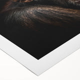 Colorful rolled canvas featuring a playful chimpanzee design, showcasing vibrant artwork ideal for animal lovers and modern home decor. Perfect for children's rooms or nature-themed spaces.