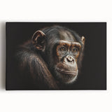 Colorful wall art collection showcasing a monkey, ape, and chimpanzee design on stretched canvas, perfect for enhancing home decor and animal-themed spaces.