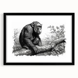 Framed wall art featuring a chimpanzee design with a black mat, showcasing a playful monkey and ape illustration, ideal for animal lovers' decor.