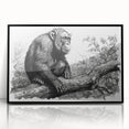 Framed wall art featuring a detailed design of a monkey and ape, showcasing vibrant colors and intricate patterns, perfect for animal lovers' decor.