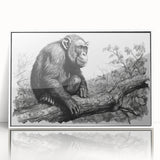 Framed wall art collection featuring a vibrant chimpanzee design with a white border, ideal for animal lovers and modern decor enthusiasts, showcasing playful colors and intricate details.