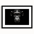 Framed wall art collection featuring a monkey and ape design with a chimpanzee illustration, presented in a sleek black frame and mat, ideal for animal lovers' decor.
