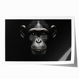 Colorful wall art print featuring a playful design of a monkey and chimpanzee, showcasing vibrant colors and intricate details, perfect for animal lovers’ decor.