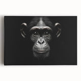 Stretched canvas wall art featuring a vibrant monkey and chimpanzee design, showcasing detailed animal illustrations in bright colors, ideal for nature lovers' decor.