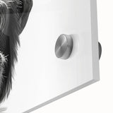 Close-up of a vibrant wall art collection featuring a monkey and chimpanzee design, showcasing detailed acrylic glass texture and vivid colors perfect for animal lovers.