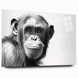 Acrylic wall art collection featuring a vibrant monkey and ape chimpanzee design, showcasing colorful illustrations in a modern side view, ideal for animal lovers.
