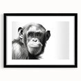 Framed wall art collection featuring a vibrant monkey and ape chimpanzee design, set in a sleek black frame with a mat, showcasing playful wildlife aesthetics for modern decor.