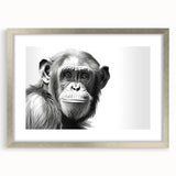 Framed wall art collection featuring a detailed design of a monkey and ape chimpanzee, highlighted with a silver frame and mat, perfect for animal lovers.
